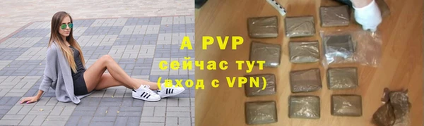 PSILOCYBIN Богородск