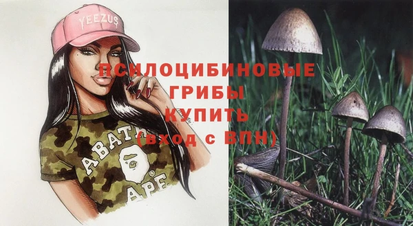гидропоника Верхнеуральск